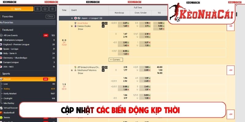 Cập nhật các biến động kịp thời